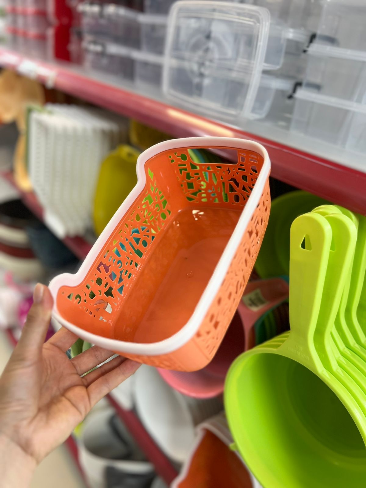 Organizuese plastike