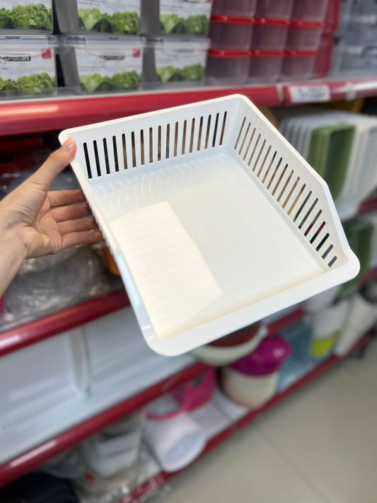 Organizuese plastike